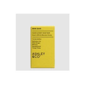 Ashley & Co | Mini Bar - Hand & Body Soap